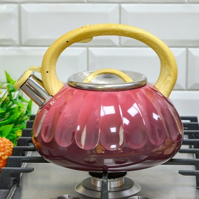 Чайник 3л со свистком, индукция, двухцветный, красно-черный