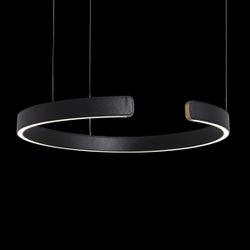 10025/600 Black Подвесной светильник LOFT IT Ring