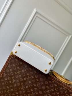 Louis Vuitton Capucines (3 sizes)