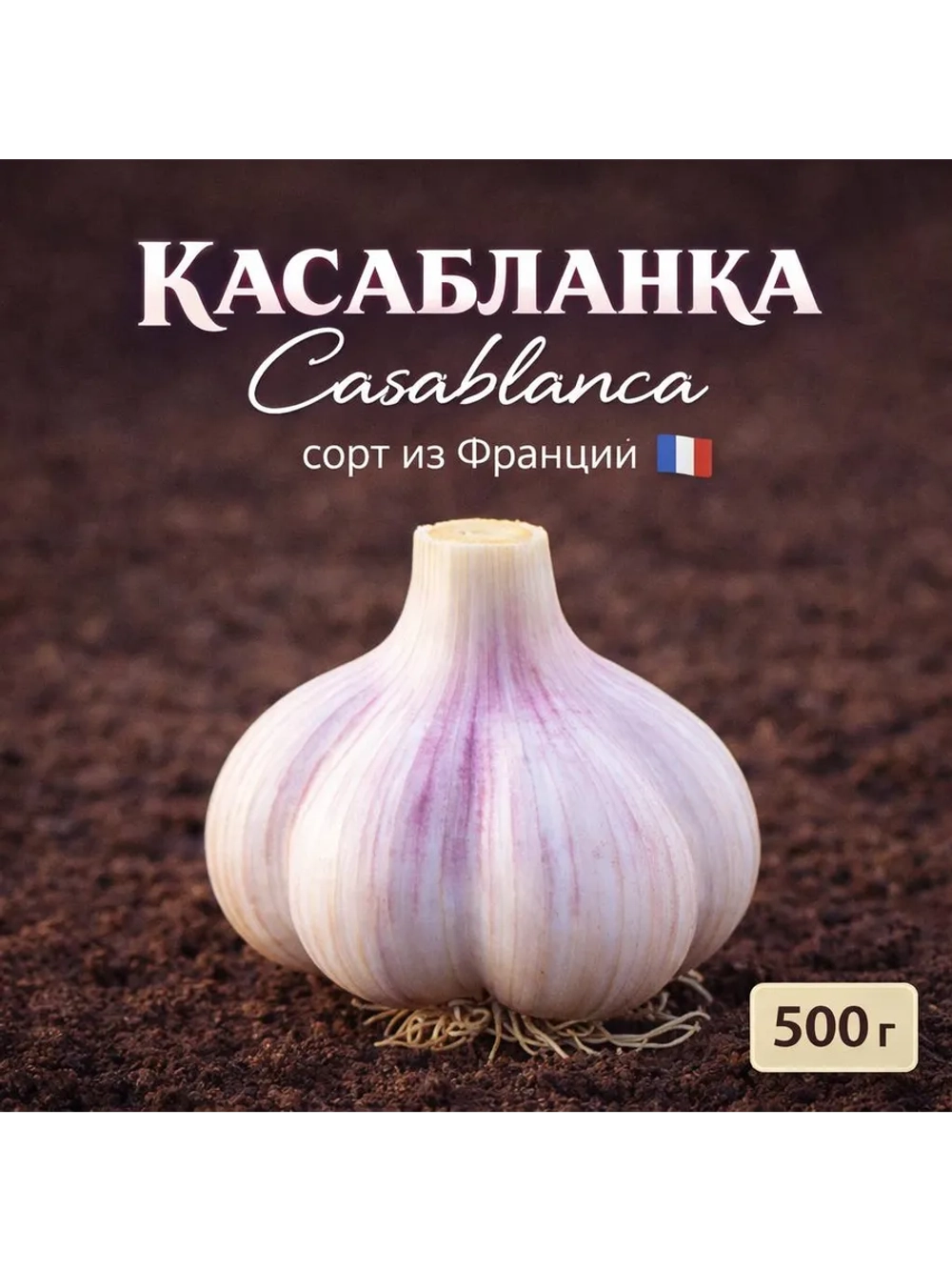 Чеснок яровой Касабланка (Франция)