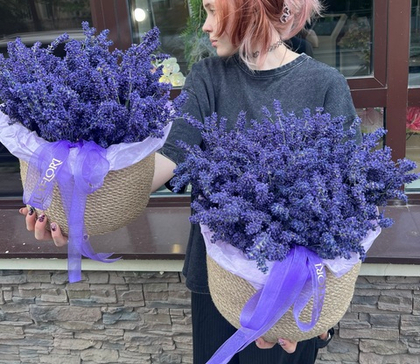 Корзина ароматной лаванды