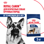 Royal Canin Maxi Adult Корм сухой для взрослых собак крупных размеров от 15 месяцев до 5 лет 3 кг