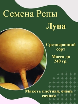 Семена Репы