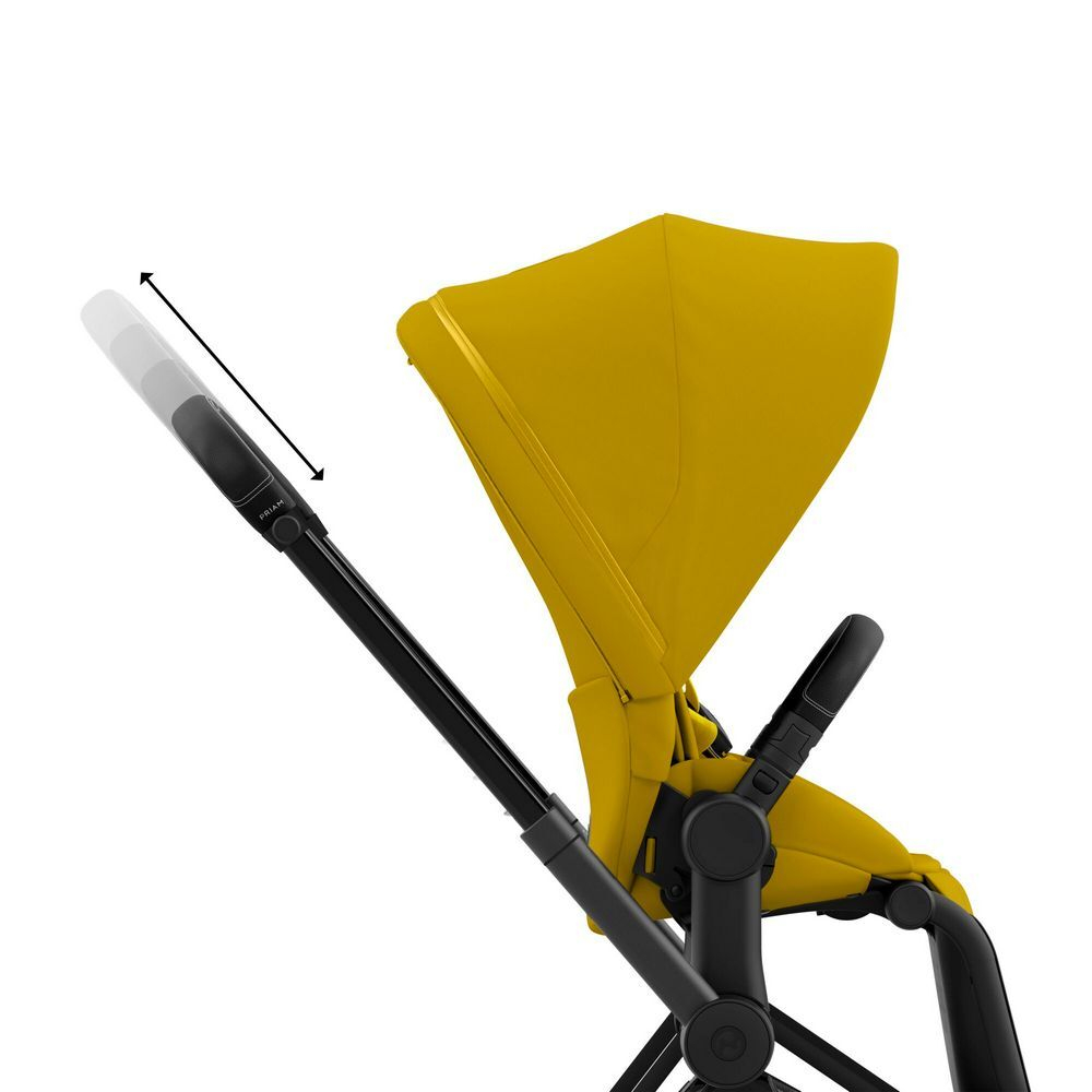 Cybex Priam IV (Прогулочная)