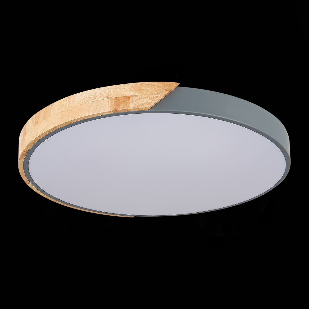 Светильник потолочный Evoluce Festa SLE200972-01