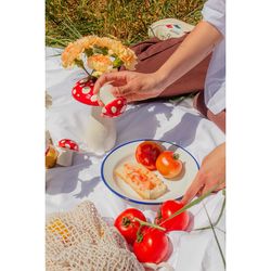 Набор из солонки и перечницы Amanita