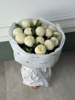 Букет моно из хризантемы 15 шт