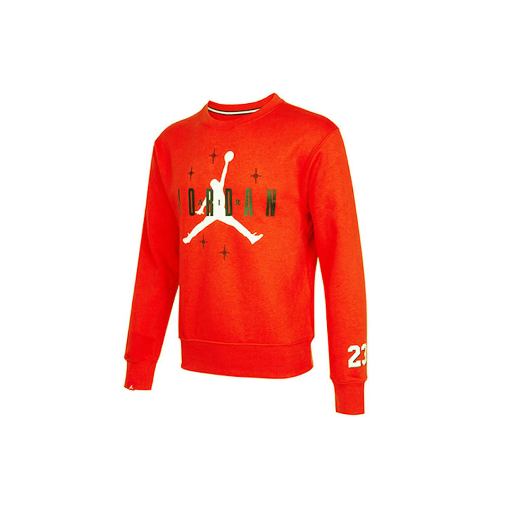 Толстовка Air Jordan Logo, DO9153-673