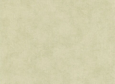 Обои виниловые на бумаге Jannelli & Volpi JV141 арт. 5329 JV141