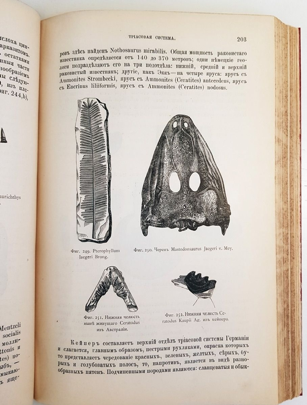 "Геология. Общий курс. В двух томах. Том 2". А.А. Иностранцев. 1887г. - антикварная книга