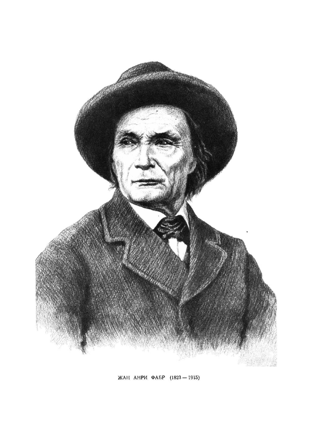 Жизнь насекомых | Фабр Жан Анри