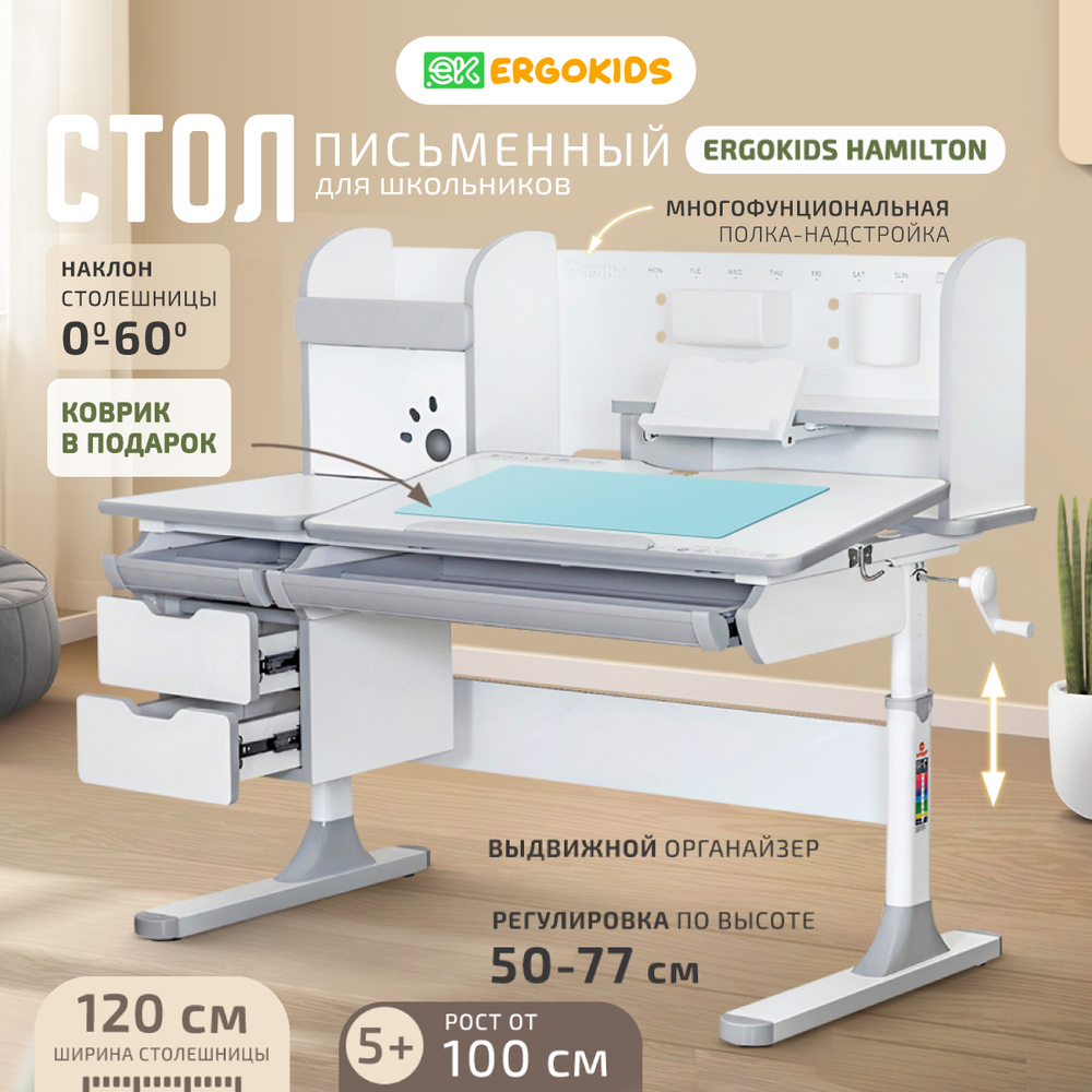 Письменный стол для школьников Ergokids Hamilton Multi BD-680