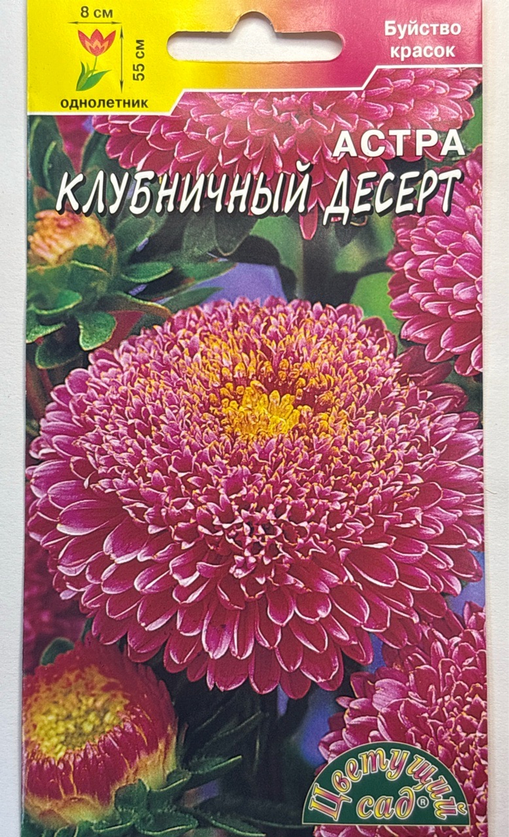 Астра Десерт Клубничный 0,2 г помпонная СМЦ-444