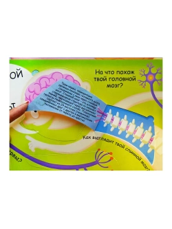 Волшебные окошки. Моё тело