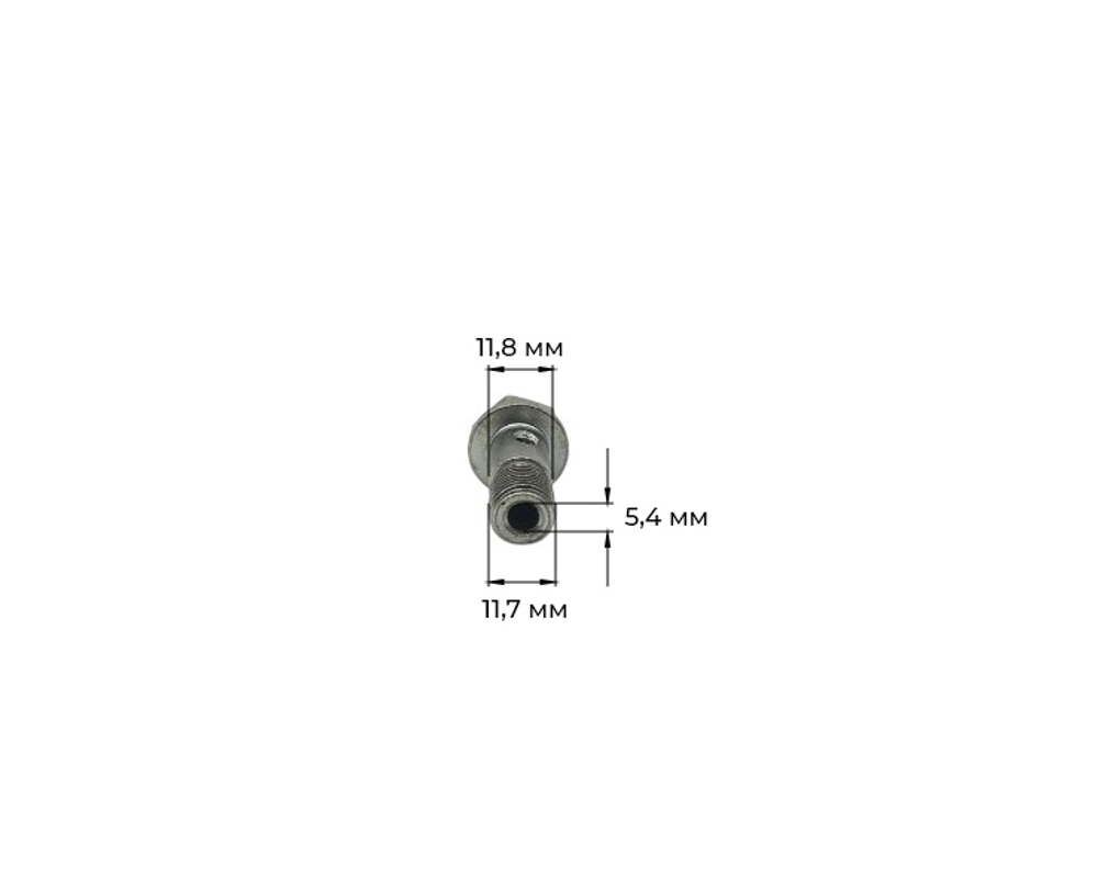 C12-TY295-4