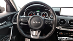 Kia Stinger Meister 2.5 Platinum (11.2022)