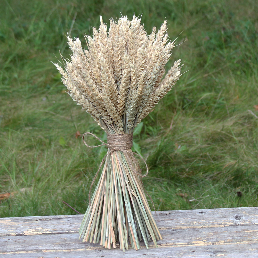 Букет сухоцветов Пшеницы 45х25 см