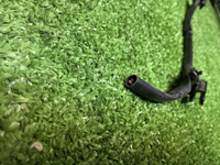 Проводка перед. бампера Nissan X-Trail T32 (13-22)