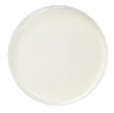 Агар селективный для выделения грибов вида Malassezia furfur, готовый, в чашке Петри 10 шт