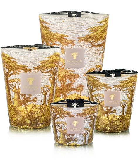 Bounkani, свеча MAX 24 Sacred Trees collection, Baobab Collection