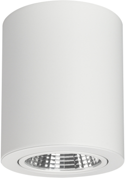 Накладной светильник Arlight SP-FOCUS-R120-16W White