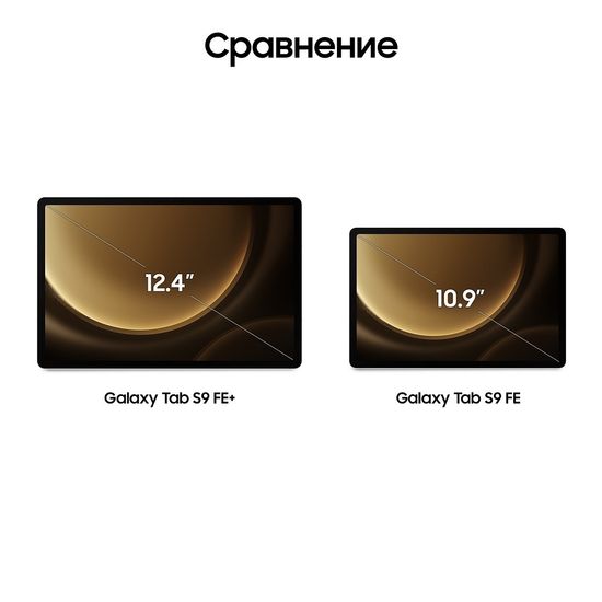 Планшет Samsung Galaxy Tab S9 FE+ 12/256Gb WiFi Серебро