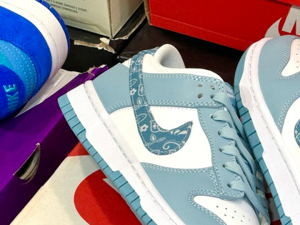 Nike Dunk Low Blue Paisley