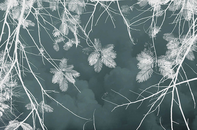 Дизайнерские обои Wall Street Vetve