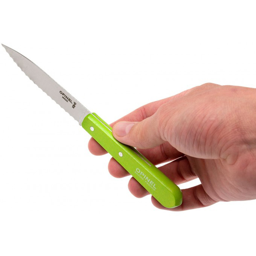 Нож столовый Opinel №113, нержавеющая сталь, блистер, зеленый