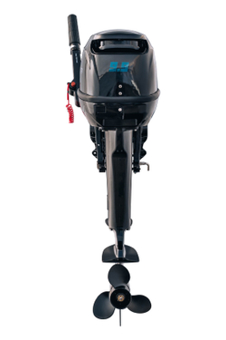 Лодочный мотор Reef Rider RR9.9FHS (12V)