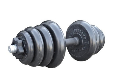 Гантель наборная TITAN 24 кг