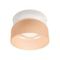 Потолочный светильник Loft IT Totem 10466 Amber matte