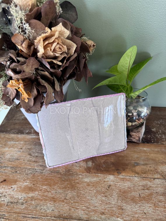 Обложка на паспорт из питона AC-139