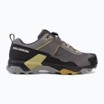 Кроссовки Salomon X Ultra 5 cloudburst/black/willow