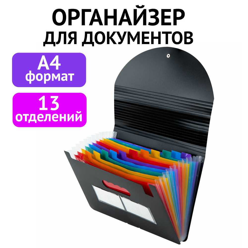 Папка-органайзер для бумаг и документов на резинке 13 отделений BRAUBERG DOCS А4 черная (2 штуки в упаковке)