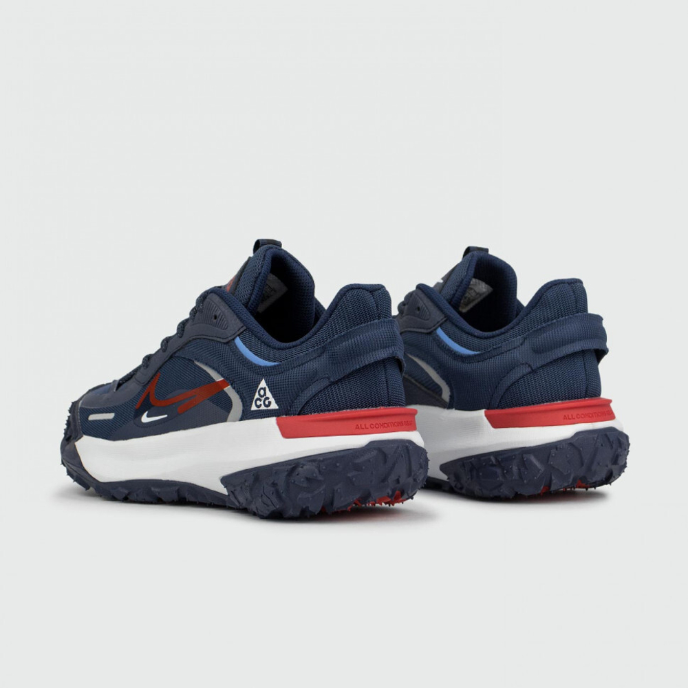 кроссовки Nike ACG Mountain Fly 2 Low Gtx Blue / White