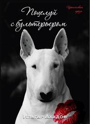 Поцелуй с бультерьером