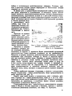 Почвы Волго-Ахтубинской поймы. к познанию аллювия и аллювиальных почв | И. Плюснин