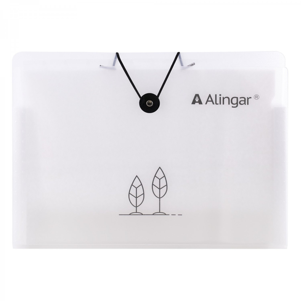Папка на резинке Alingar, A4, "Tree", 325х235х20 мм, 500 мкм,13 отделений, наклейки-разделители, прозрачная, матовая, текстура