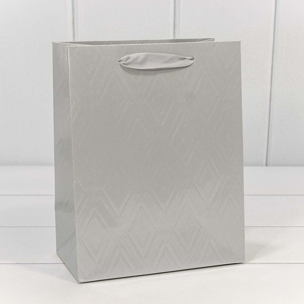Пакет подарочный 18х23х10см Премиум "Элегант" (Серебряный)