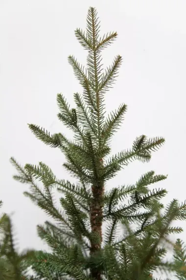 Искусственная ель Французская 215 см., литая хвоя+пвх, Black Box (74378)