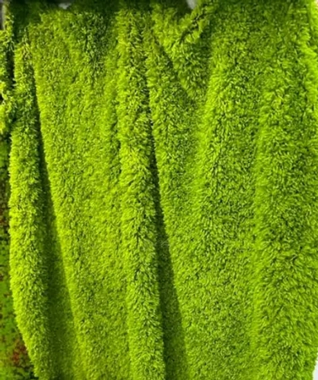 Коврик мха на тканевой основе 1*2м