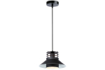Подвесной светильник в стиле лофт TR8172 BK черный E27 max 40W D203*940