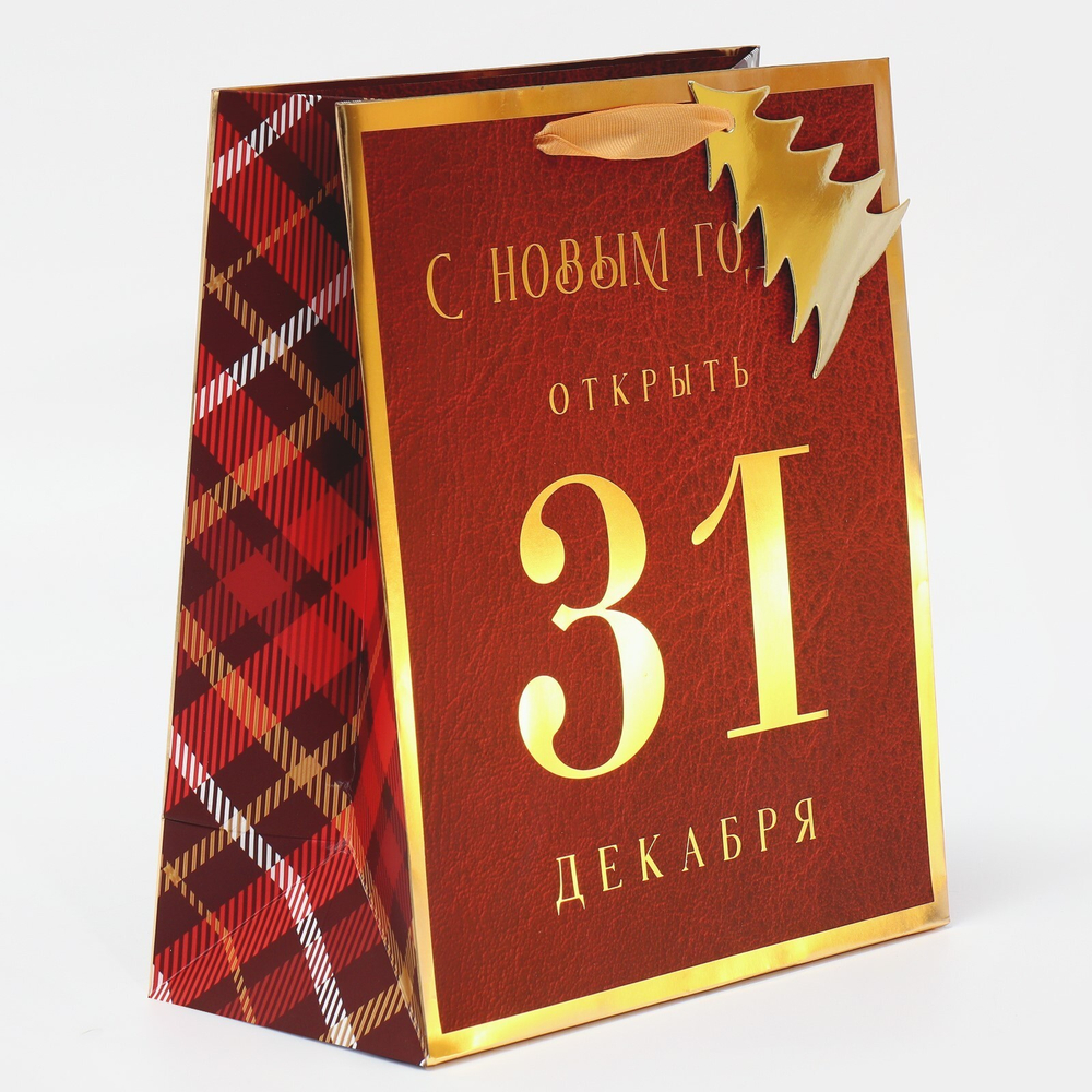 Пакет подарочный новогодний "С Новым Годом", 21,5*25*10см.