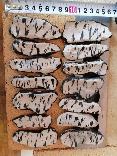 кора берёзы для биокамина, 14 шт, 6-8 см