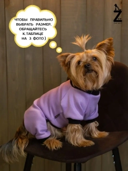 Комбинезон для собак кошек сфинкс кофта костюм для животных