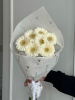 Кулек из 7 минигербер