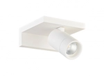 DL18441/01 White R Dim