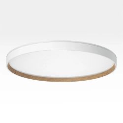 Citilux ETALON CL750500R LED RGB Светильник с пультом Белый+Бук