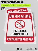 Табличка для частной территории "Внимание, рыбалка запрещена", на дом, для участка, организаций и частных территорий, предупреждающая, 40х30 см, Silver Plane x Айдентика Технолоджи